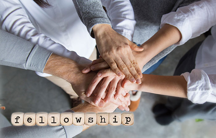 fellowship program - Dr. KPK